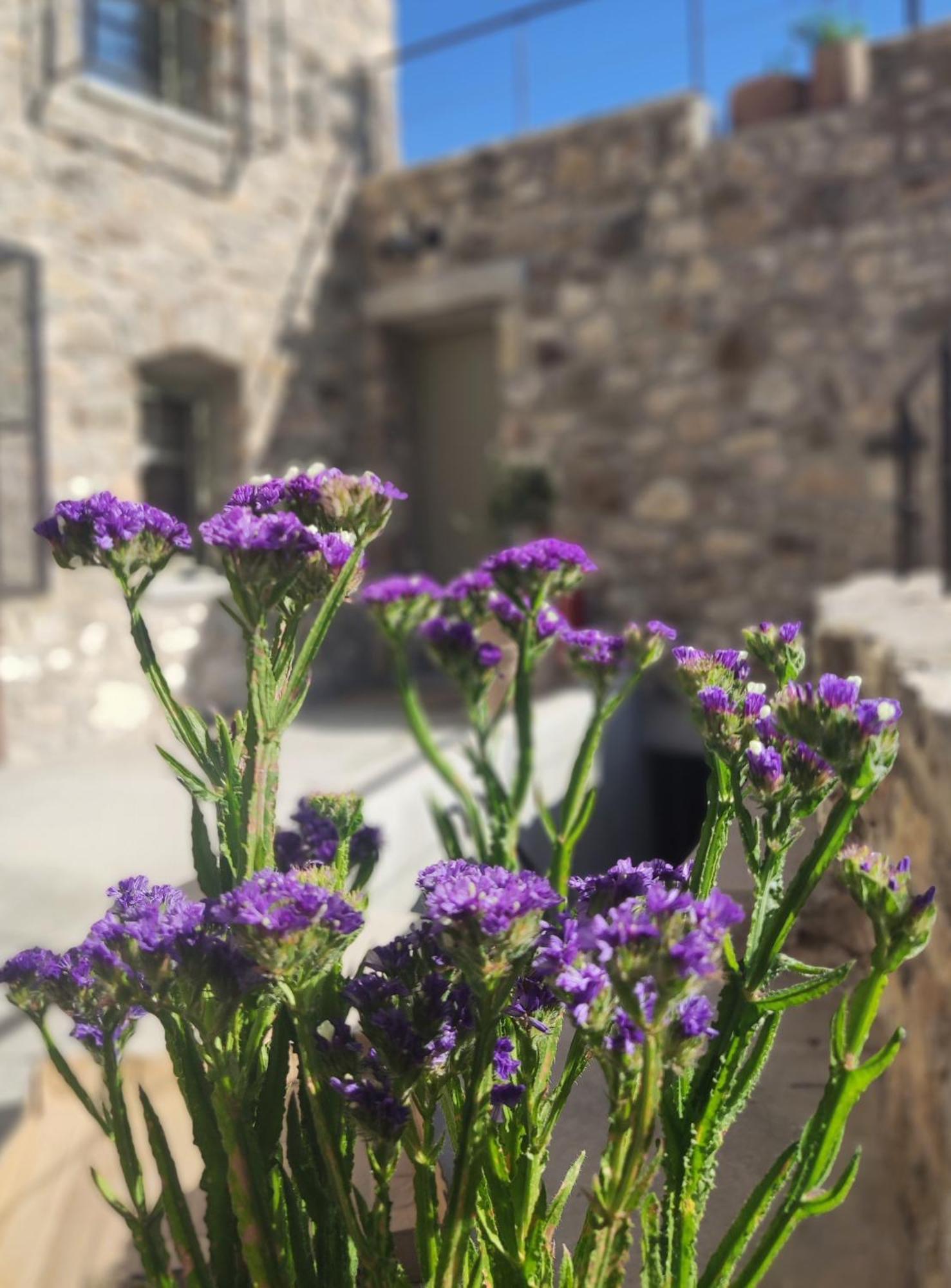 Pyrgi Cretan Living & Spa Pirgos  Extérieur photo